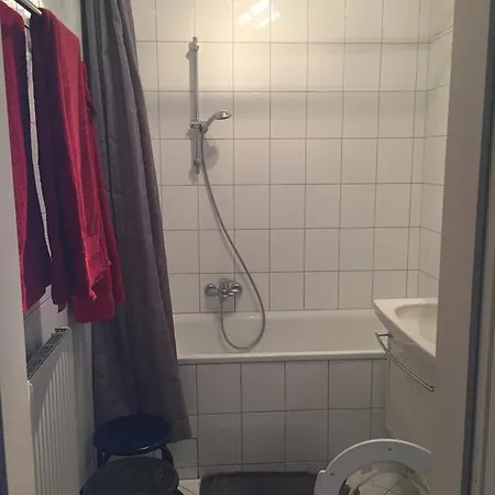 Apartment Ferienwohnung Schlagenstrasse Gmunden
